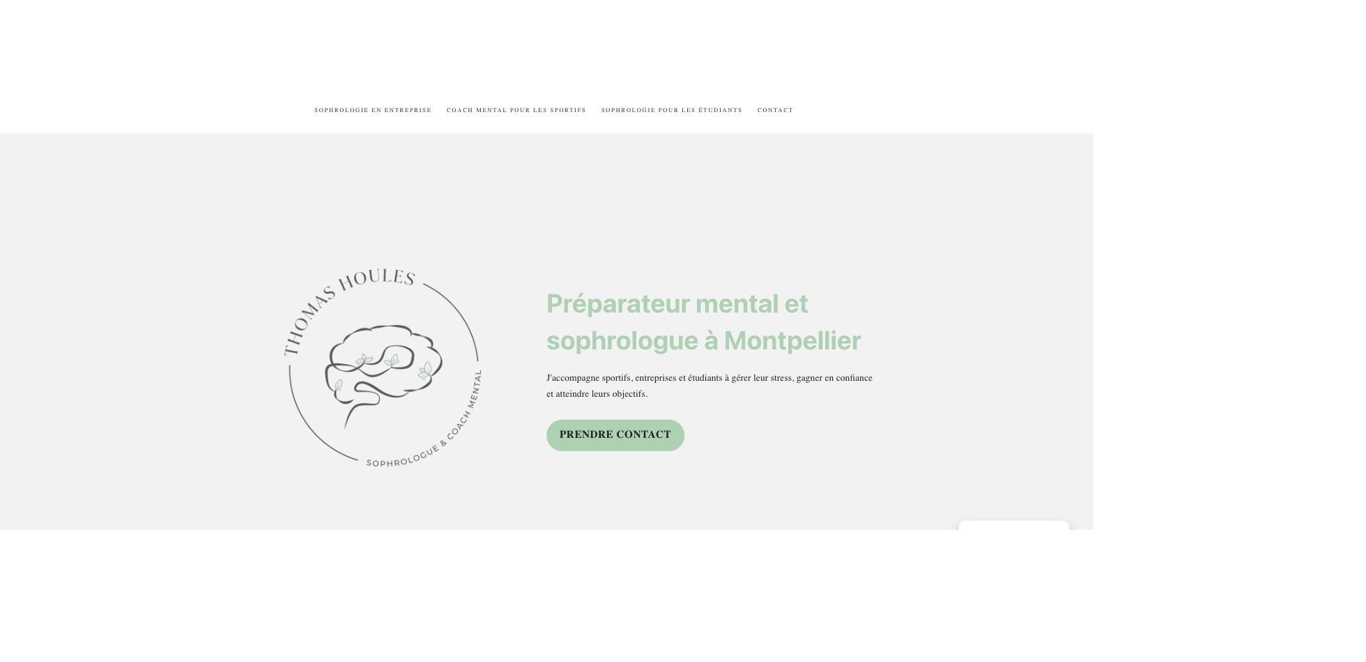 Aperçu du site Thomas Houles